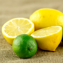 Carga lima-limón - sistema aromatizador hidroambient -