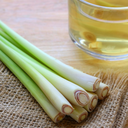 Recarga eco-responsable Green Tea Lemon Grass 1L - Aroma fresco y cítrico para sistemas sostenibles
