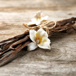 Recarga eco-responsable Vainilla 1L - Aroma dulce y envolvente para sistemas sostenibles