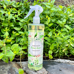 Ambientador concentrado 500ml Brotes Verdes. Fragancia fresca y duradera para cualquier espacio.