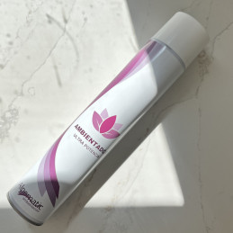 PROFESSIONAL SPRAY UP 750ml